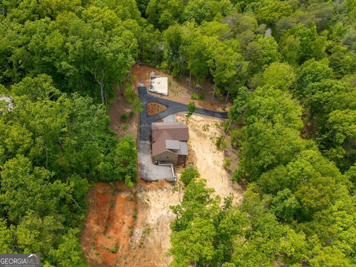 148 Virginia Drive Blue Ridge - Photo 51
