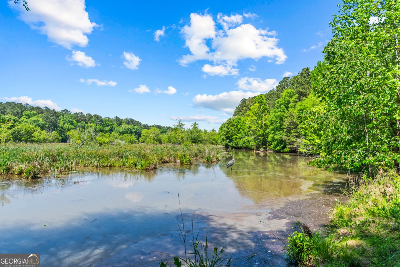 1875 Reids Ferry Road Buckhead - Photo 124