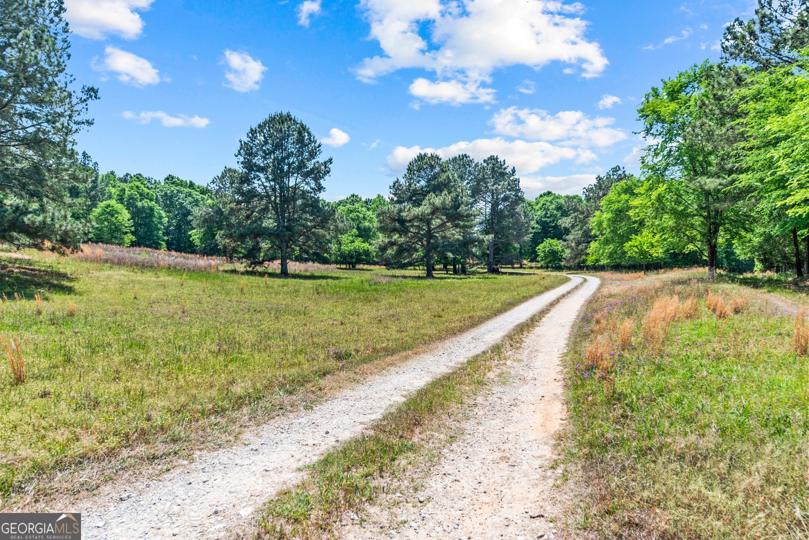 1875 Reids Ferry Road Buckhead - Photo 125