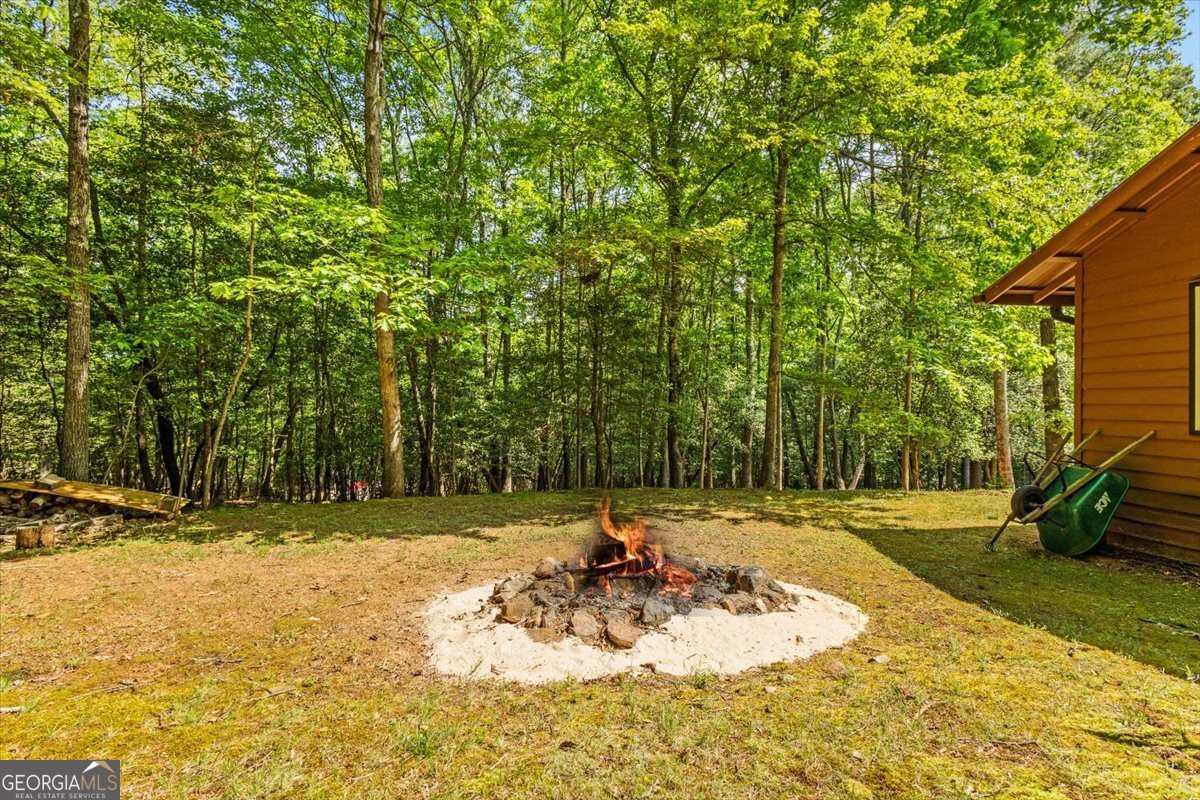 55 Notla Mountain Retreat Blairsville - Photo 17