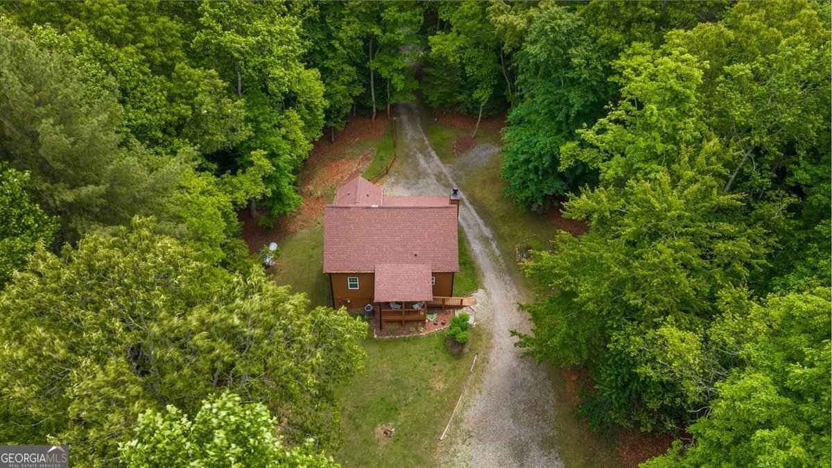 55 Notla Mountain Retreat Blairsville - Photo 6