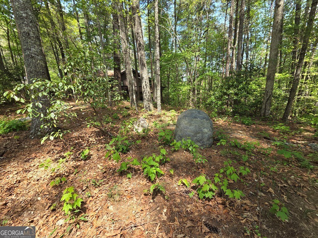 92 Misty Mountain Trail Morganton - Photo 43