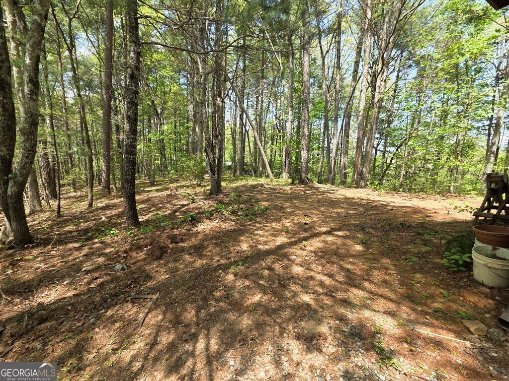 92 Misty Mountain Trail Morganton - Photo 44