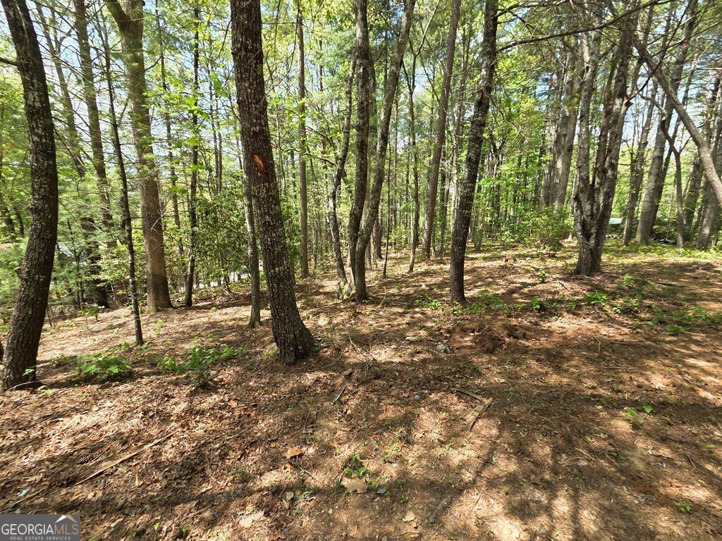92 Misty Mountain Trail Morganton - Photo 45