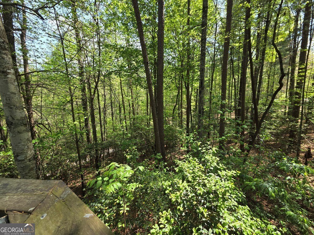 92 Misty Mountain Trail Morganton - Photo 47