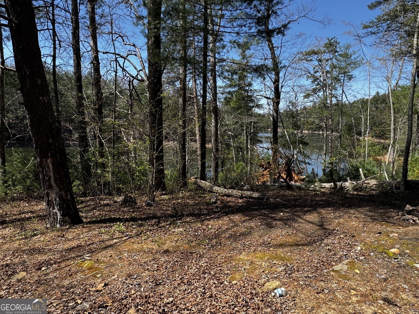 92 Misty Mountain Trail Morganton - Photo 51