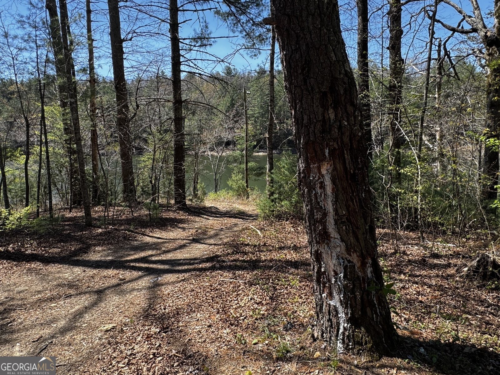 92 Misty Mountain Trail Morganton - Photo 52