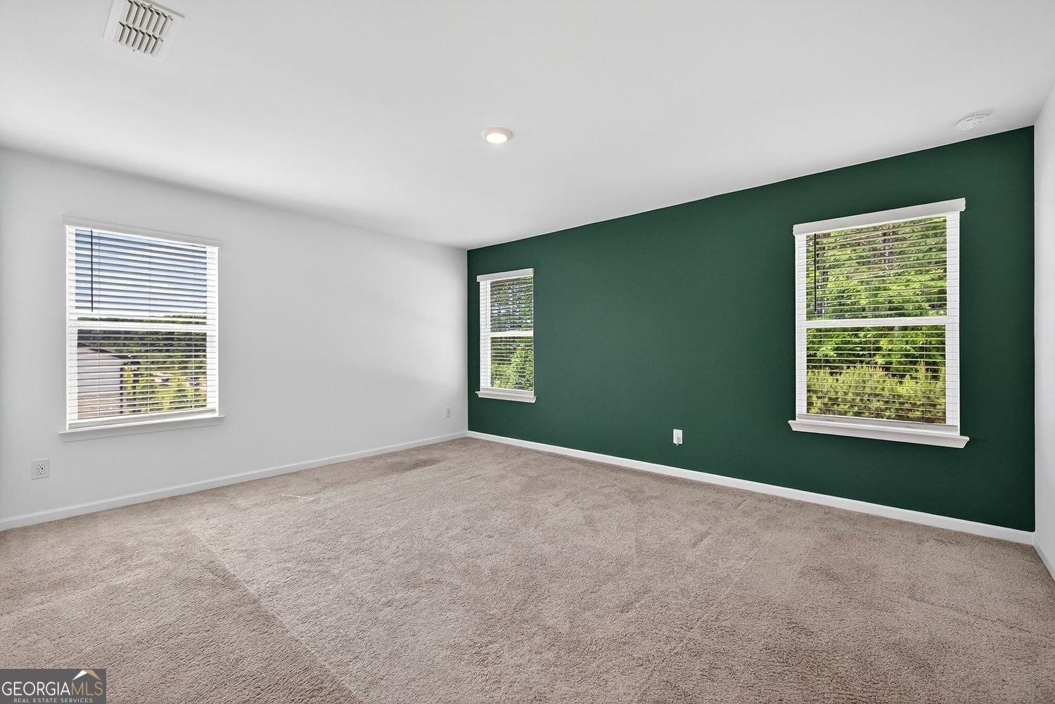 116 Harpy Drive McDonough - Photo 17