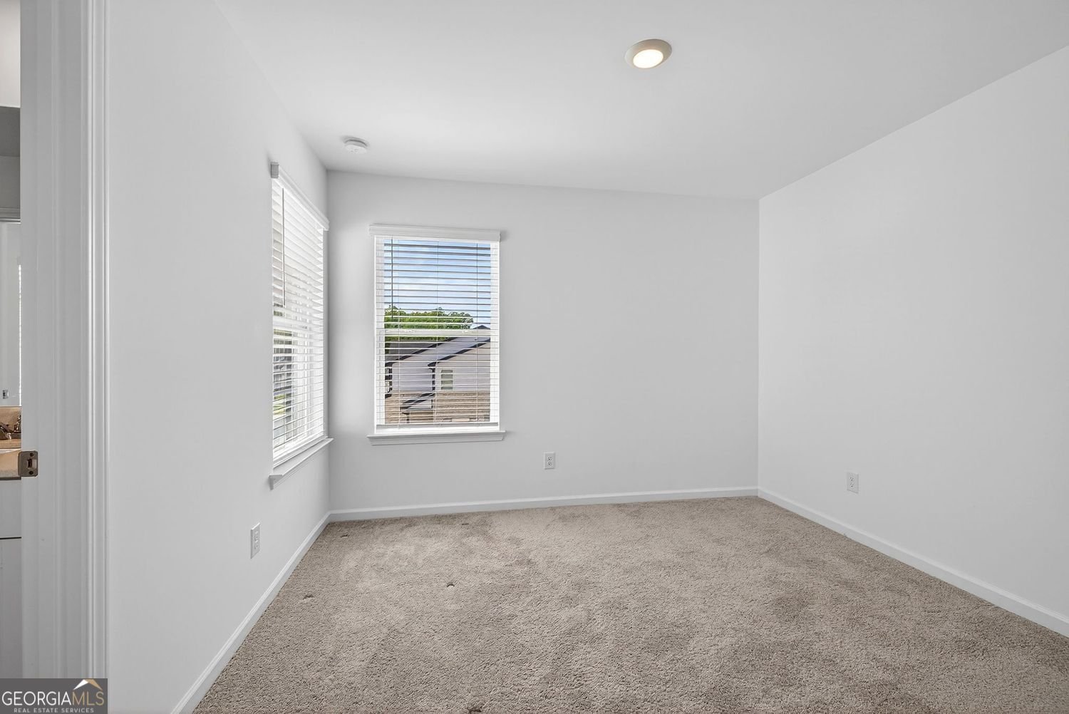 116 Harpy Drive McDonough - Photo 19