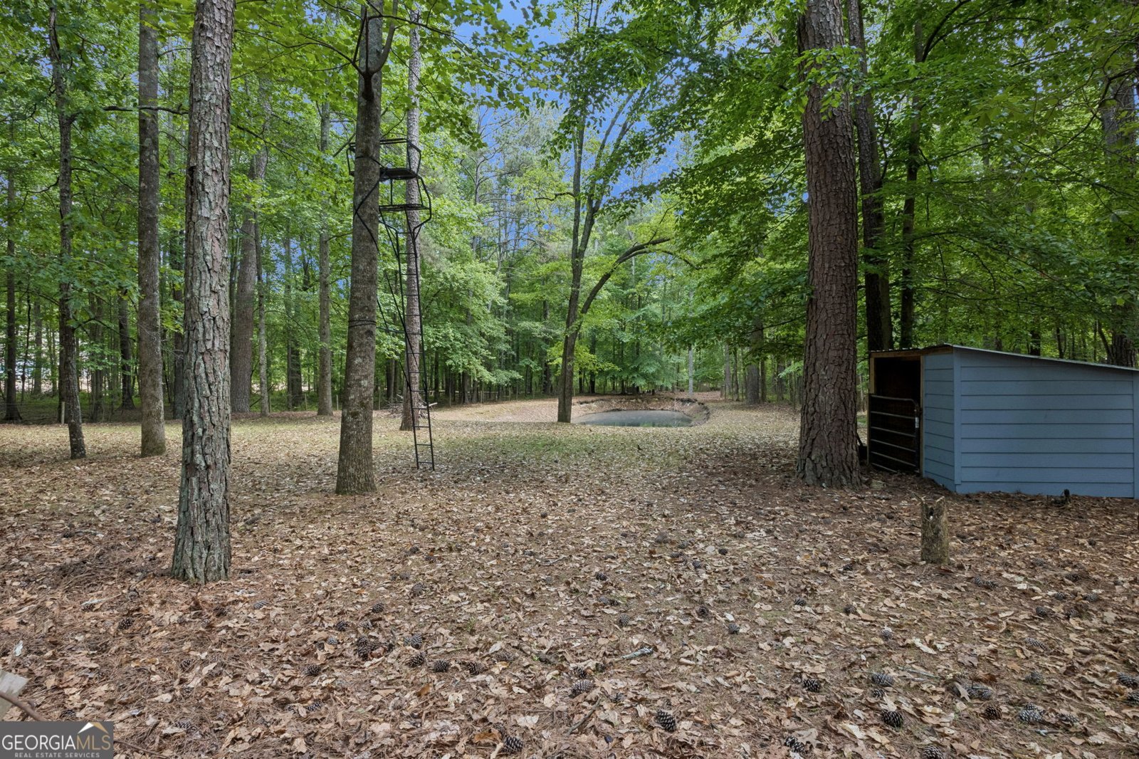 4751 Bill Cheek Road Auburn - Photo 76