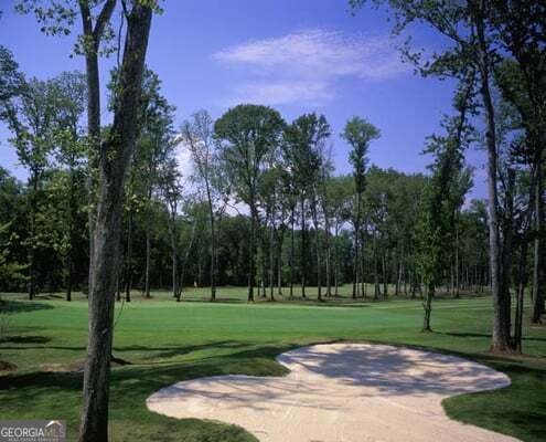123 Fairgreen Trace Newnan - Photo 81