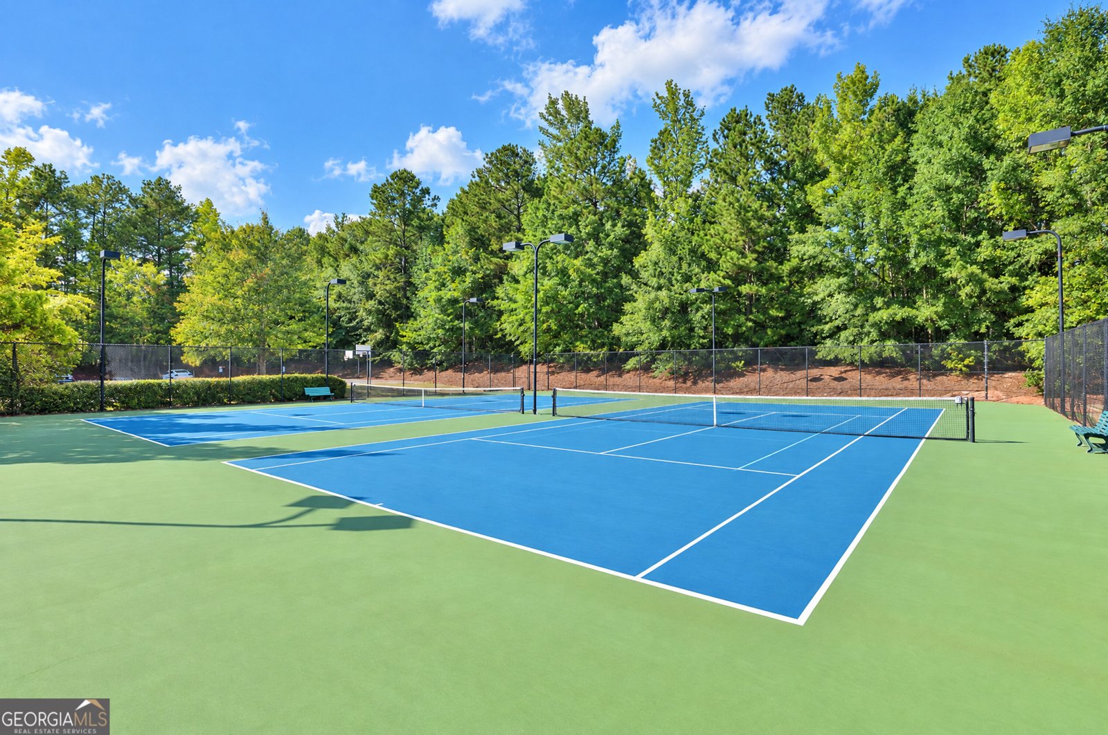 270 Darien Drive Senoia - Photo 86
