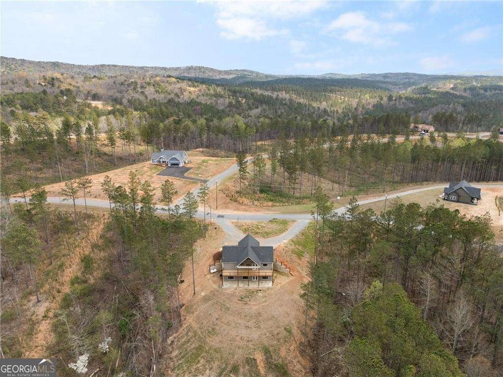 2956 Blalock Mountain Road Talking Rock - Photo 47