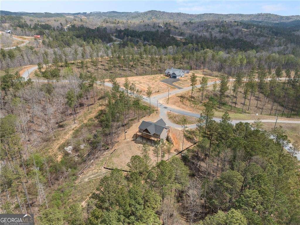 2956 Blalock Mountain Road Talking Rock - Photo 50