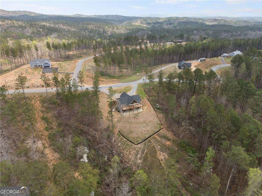 2956 Blalock Mountain Road Talking Rock - Photo 51