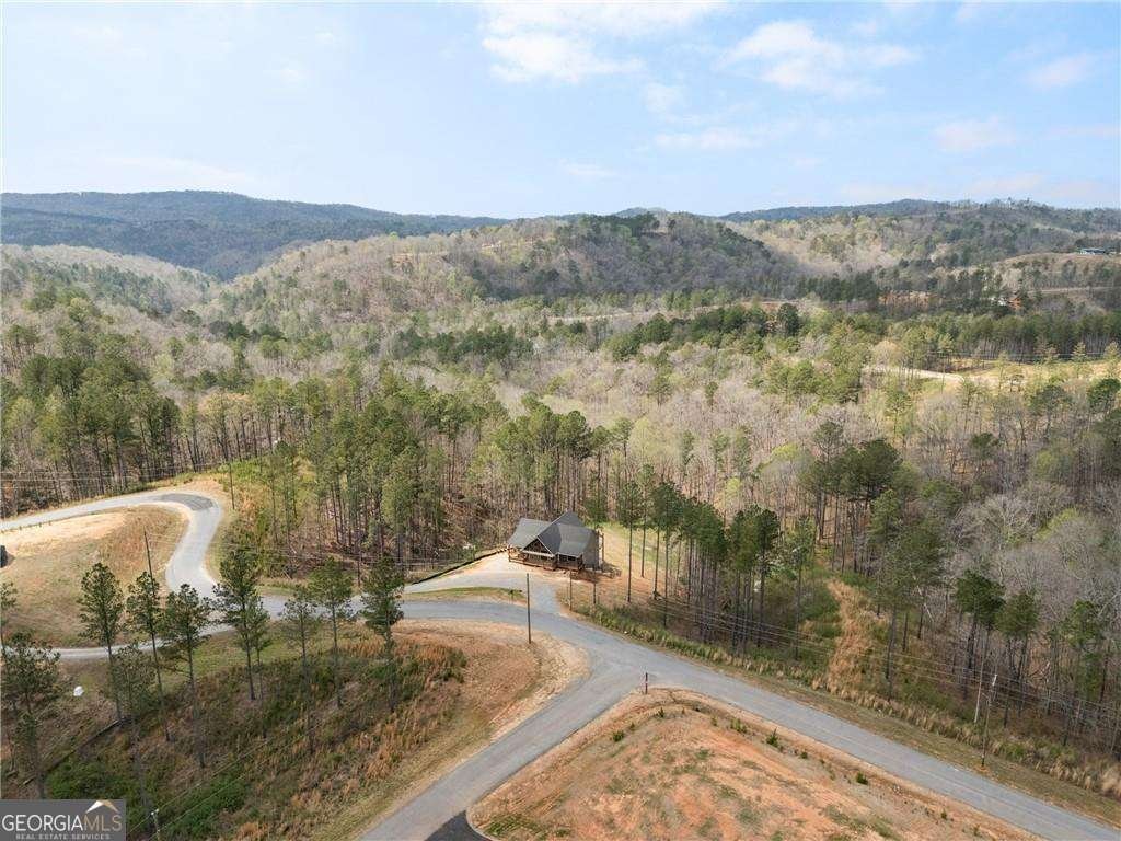 2956 Blalock Mountain Road Talking Rock - Photo 52