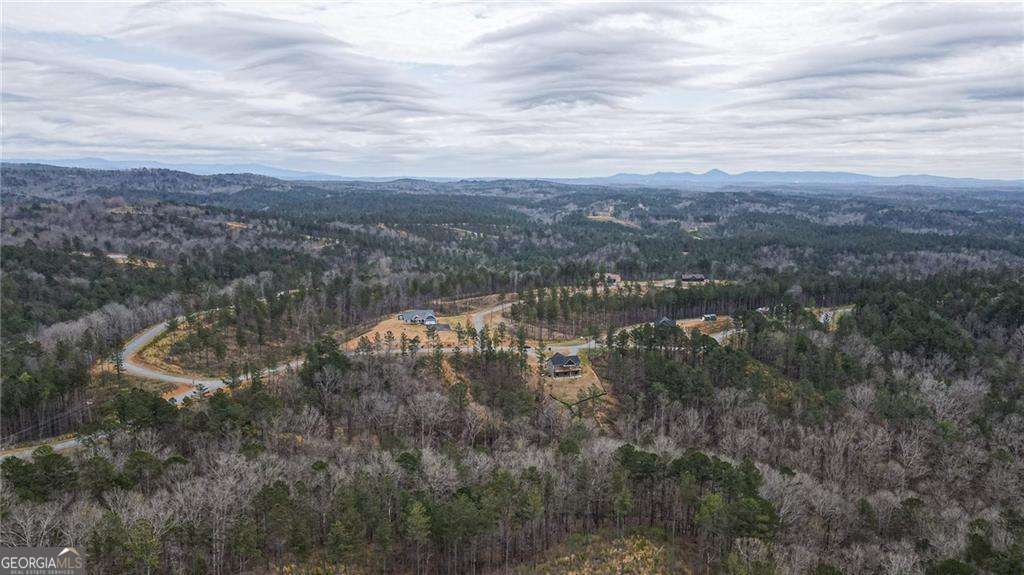 2956 Blalock Mountain Road Talking Rock - Photo 53