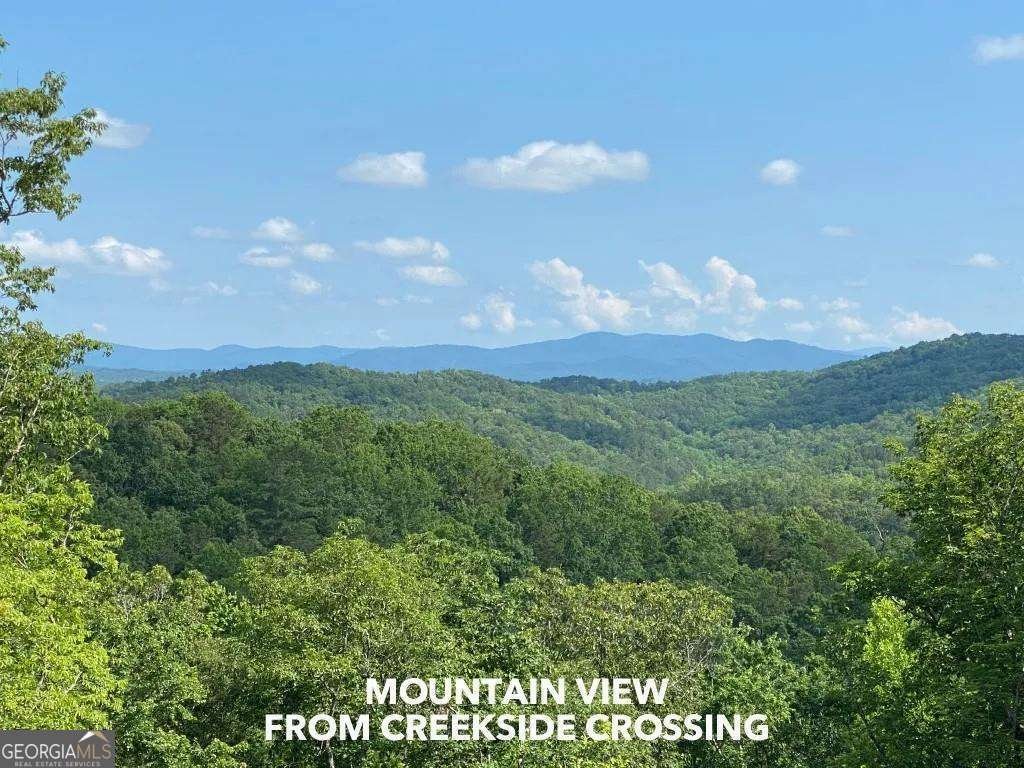2956 Blalock Mountain Road Talking Rock - Photo 62