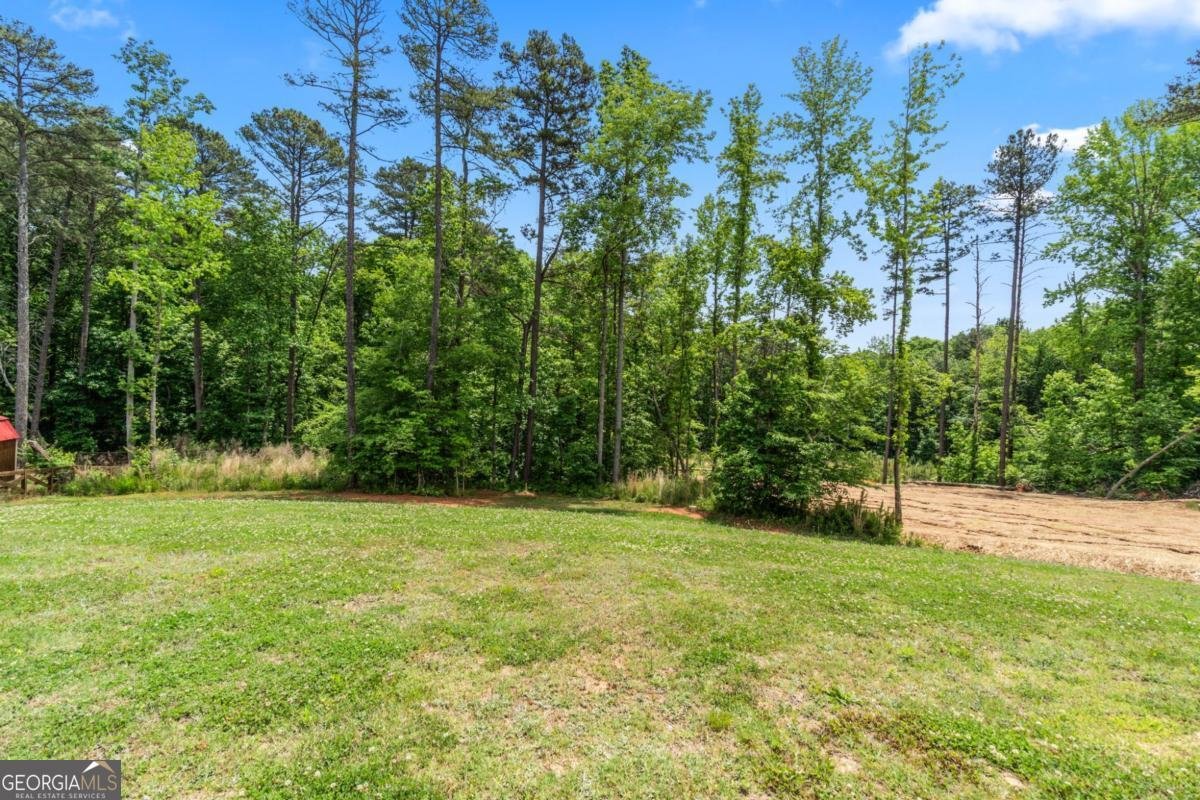 2815 Pilgrim Mill Road Cumming - Photo 51