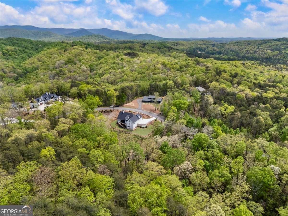 589 Brown Deer Drive Talking Rock - Photo 56