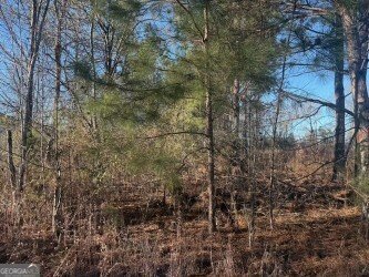4381 Nessmith Road Statesboro - Photo 19