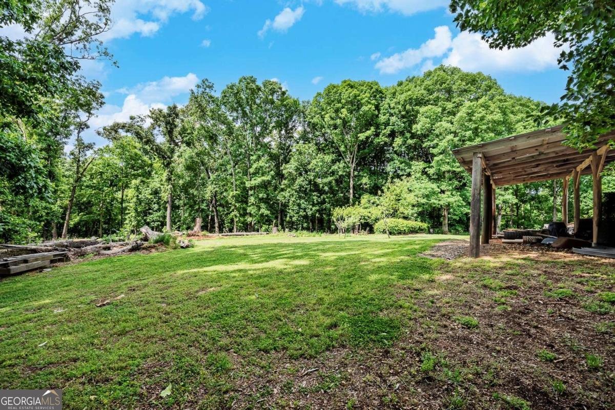 399 Smith Road Ball Ground - Photo 55