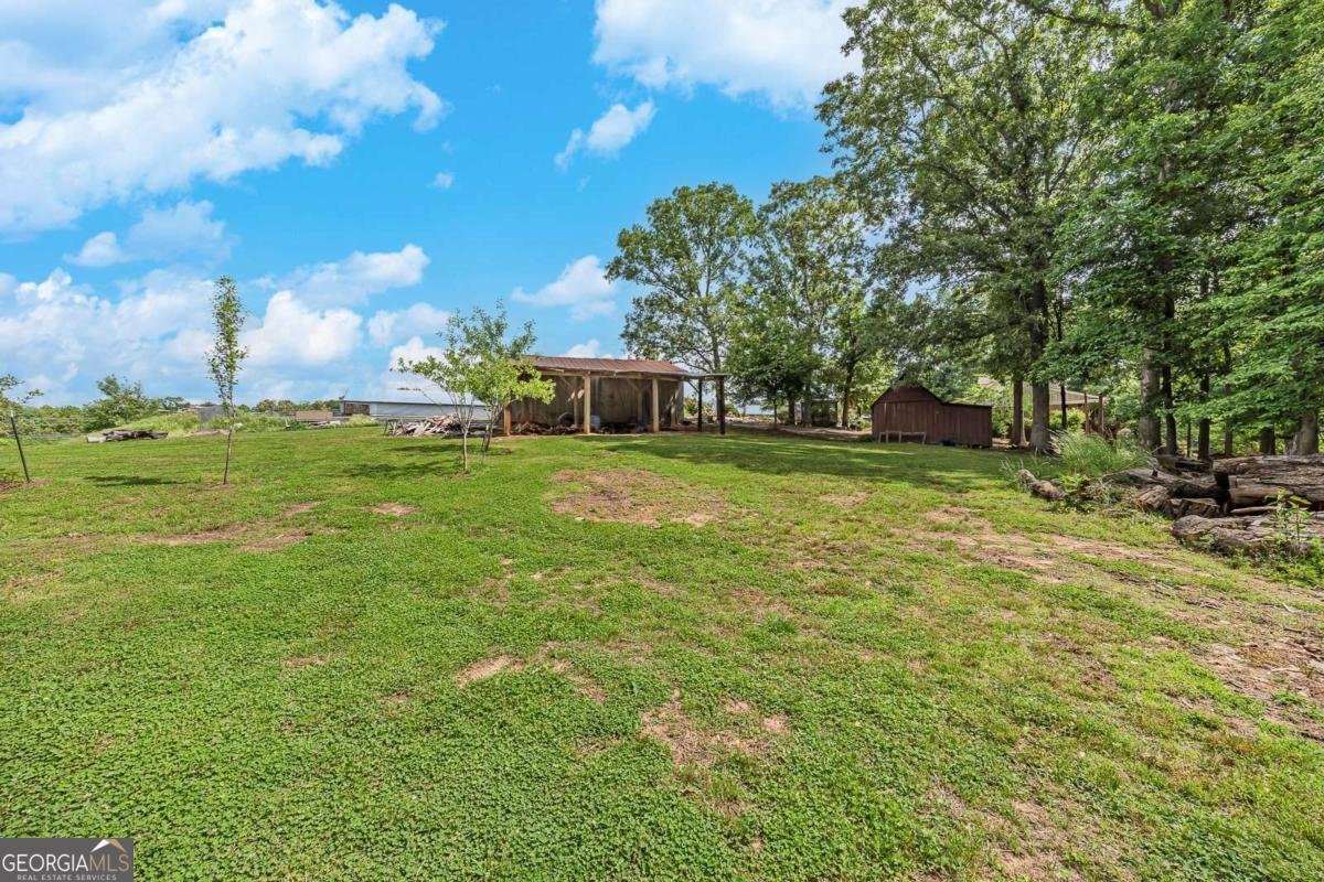 399 Smith Road Ball Ground - Photo 56