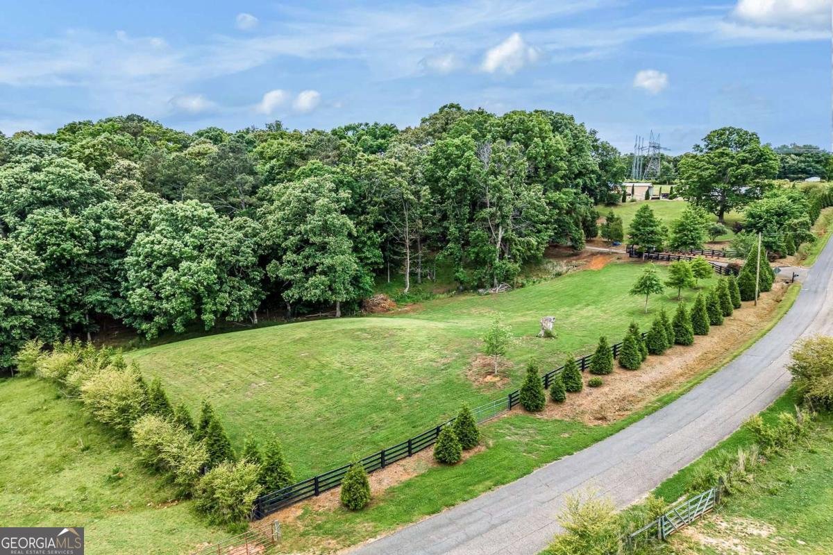 399 Smith Road Ball Ground - Photo 60