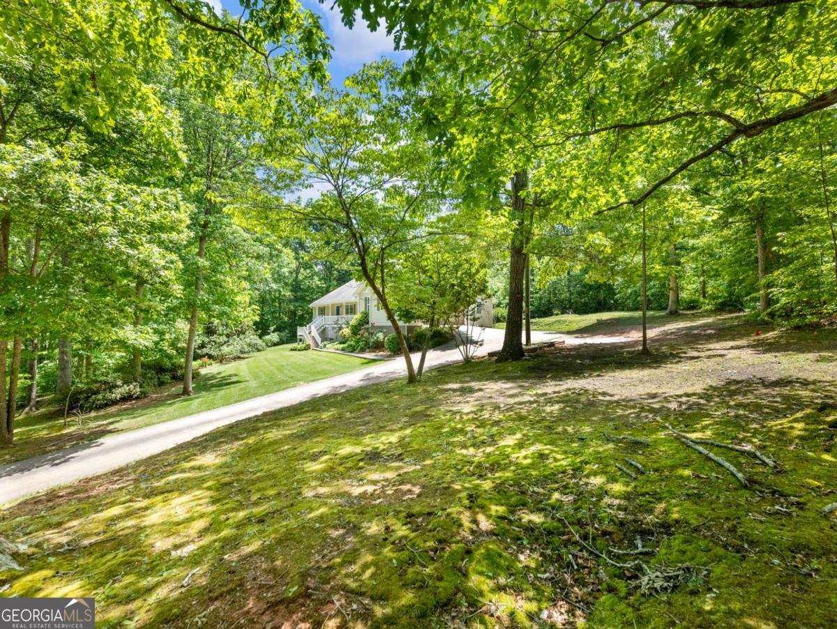 376 Thornwood Circle Mount Airy - Photo 38