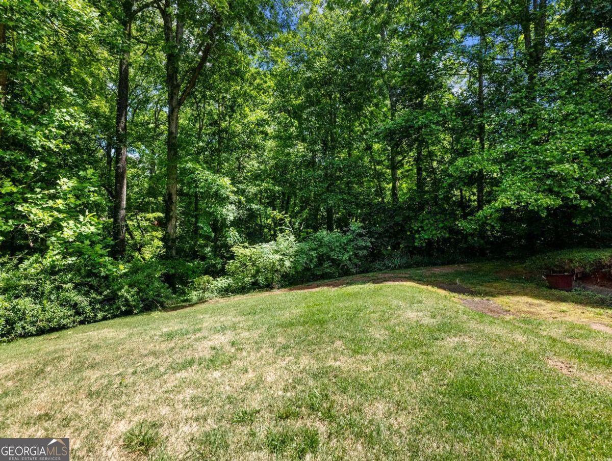 376 Thornwood Circle Mount Airy - Photo 54
