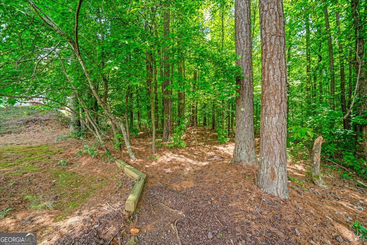 136 Churchcliff Drive Woodstock - Photo 33
