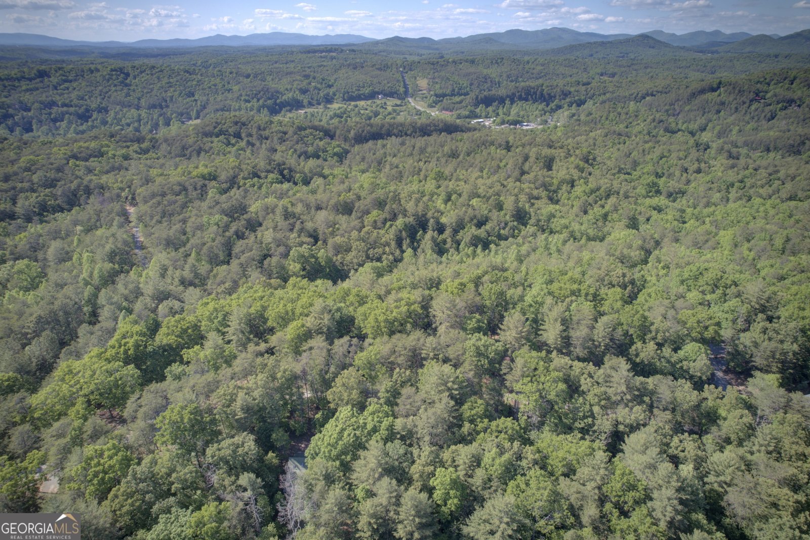 218 Bench Leg Road Mineral Bluff - Photo 25