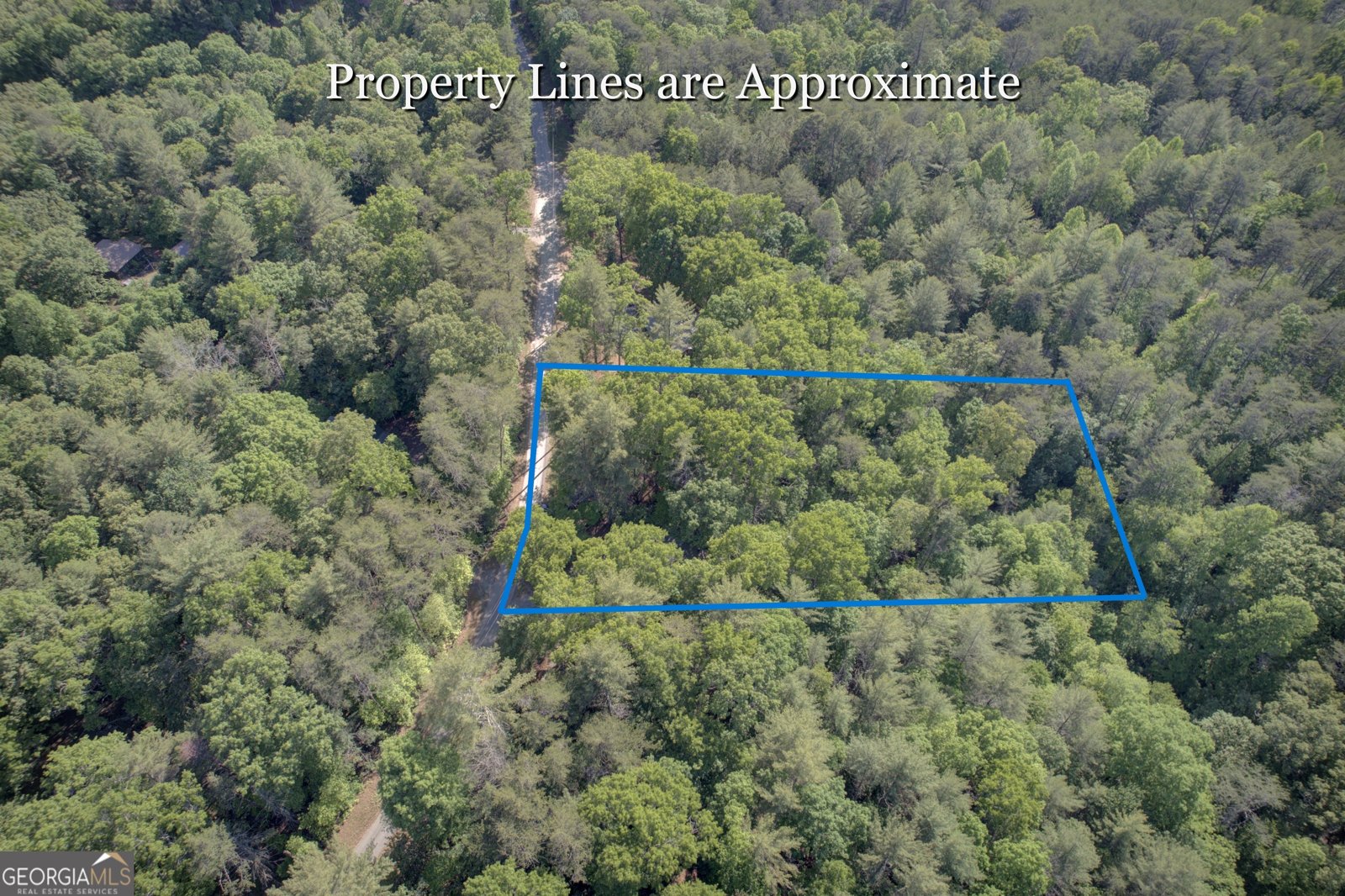 218 Bench Leg Road Mineral Bluff - Photo 29
