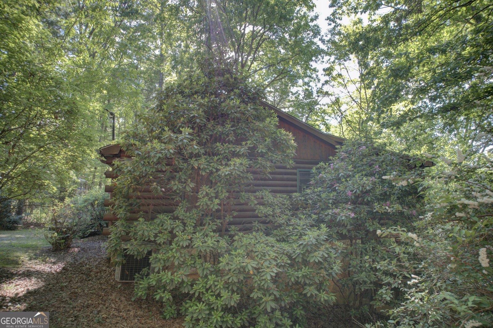 218 Bench Leg Road Mineral Bluff - Photo 31