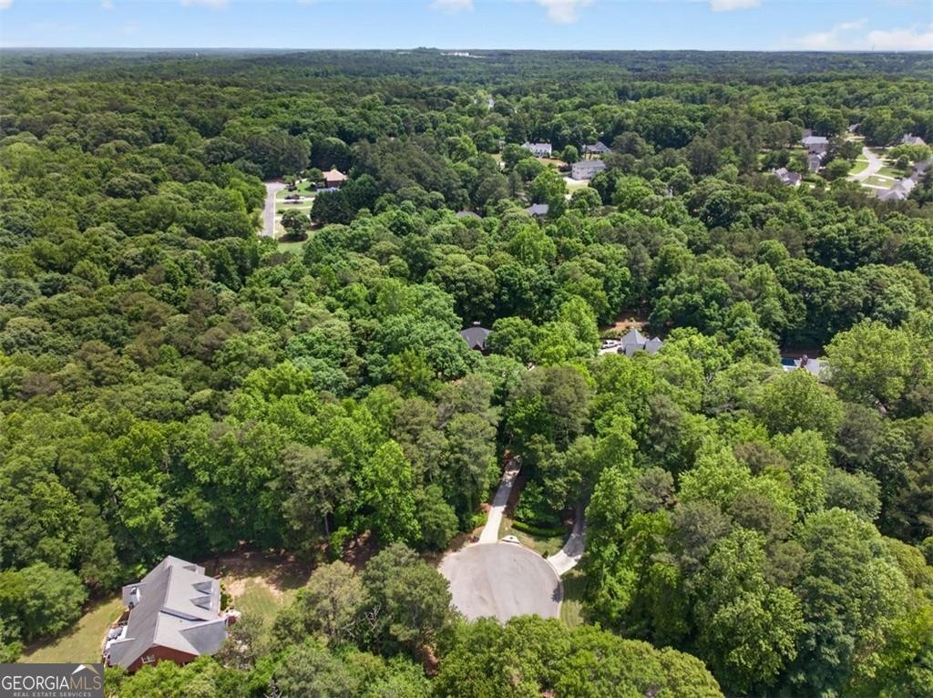667 Wellington Drive Winder - Photo 72