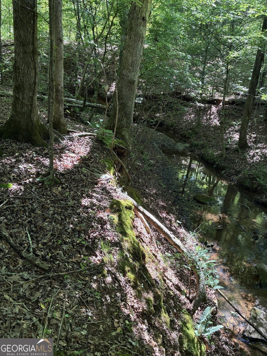 5645 HWY 42 S. Forsyth - Photo 18