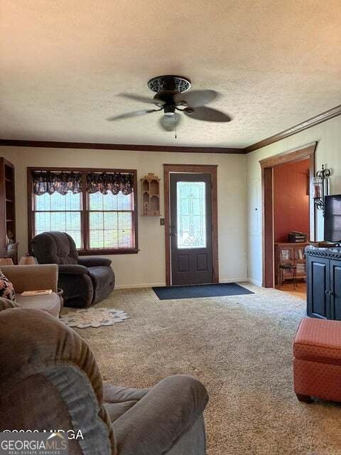 5645 HWY 42 S. Forsyth - Photo 41