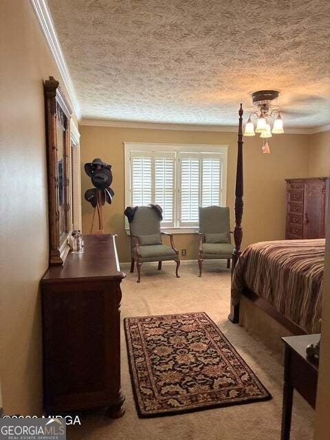 5645 HWY 42 S. Forsyth - Photo 45
