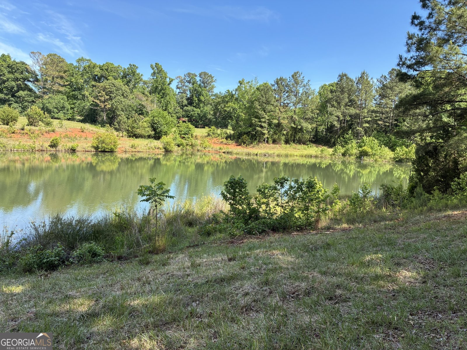 5645 HWY 42 S. Forsyth - Photo 60