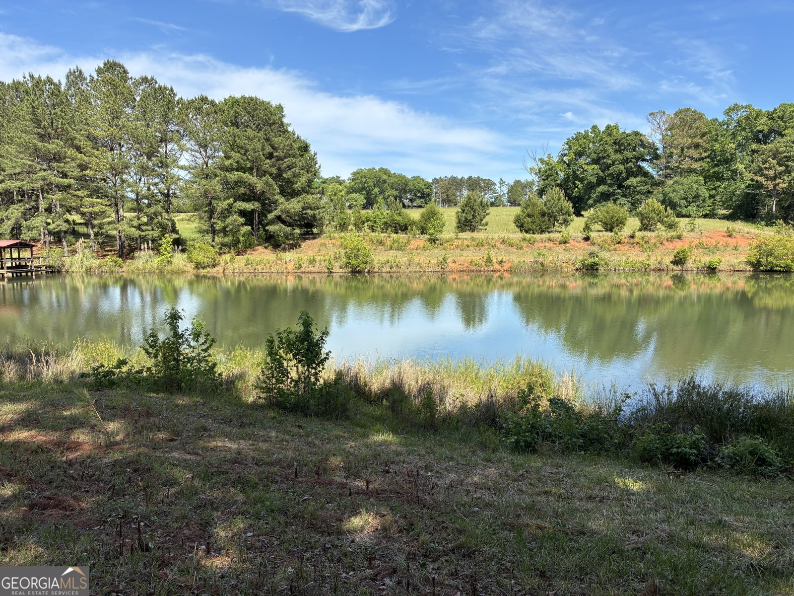 5645 HWY 42 S. Forsyth - Photo 61