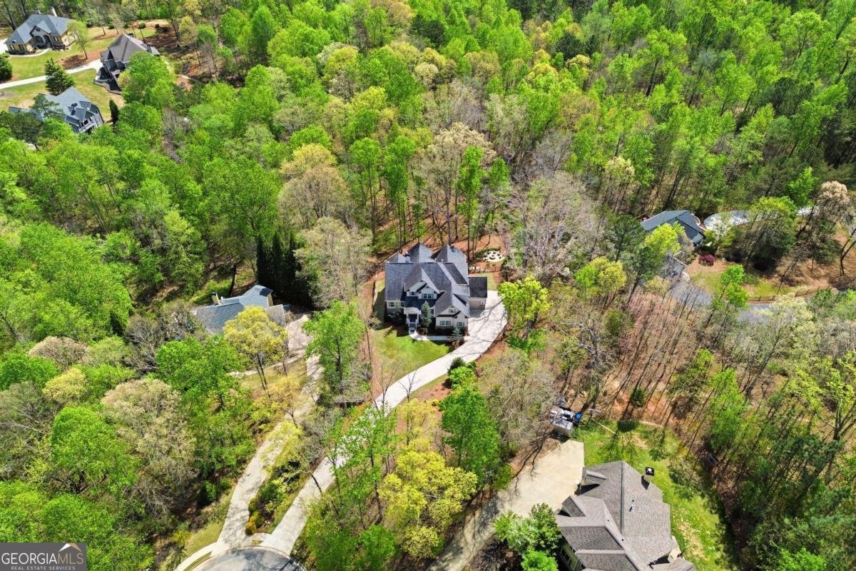 86 Stony Court Dawsonville - Photo 58