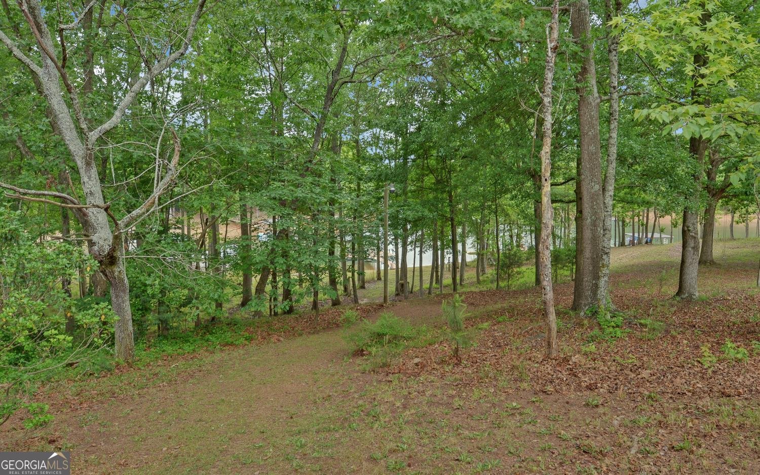 157 Nelle Drive Hartwell - Photo 52