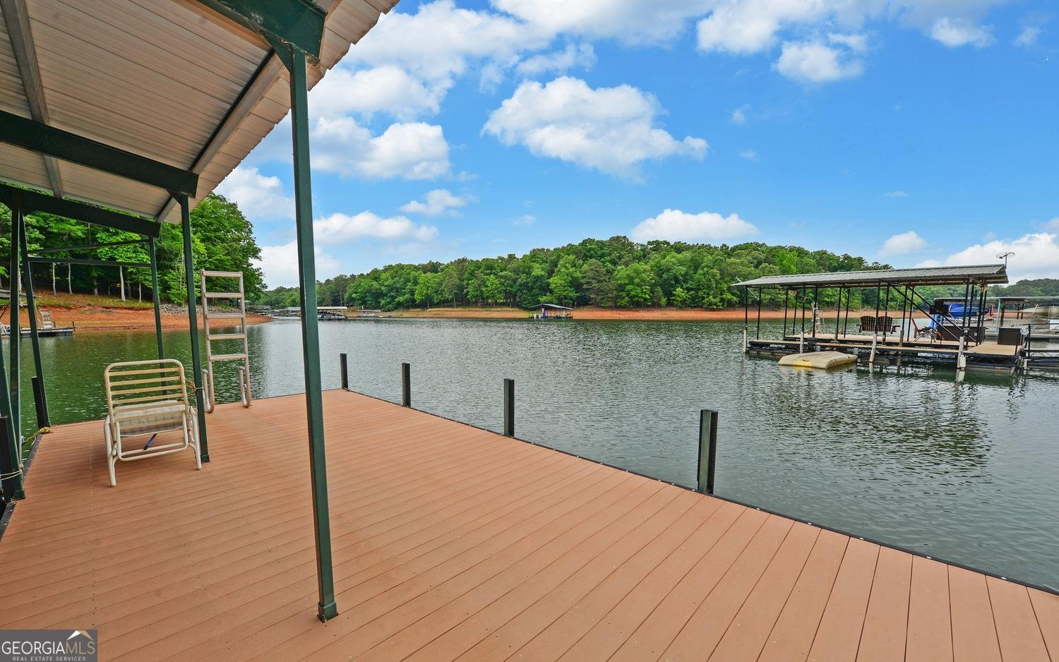 157 Nelle Drive Hartwell - Photo 56