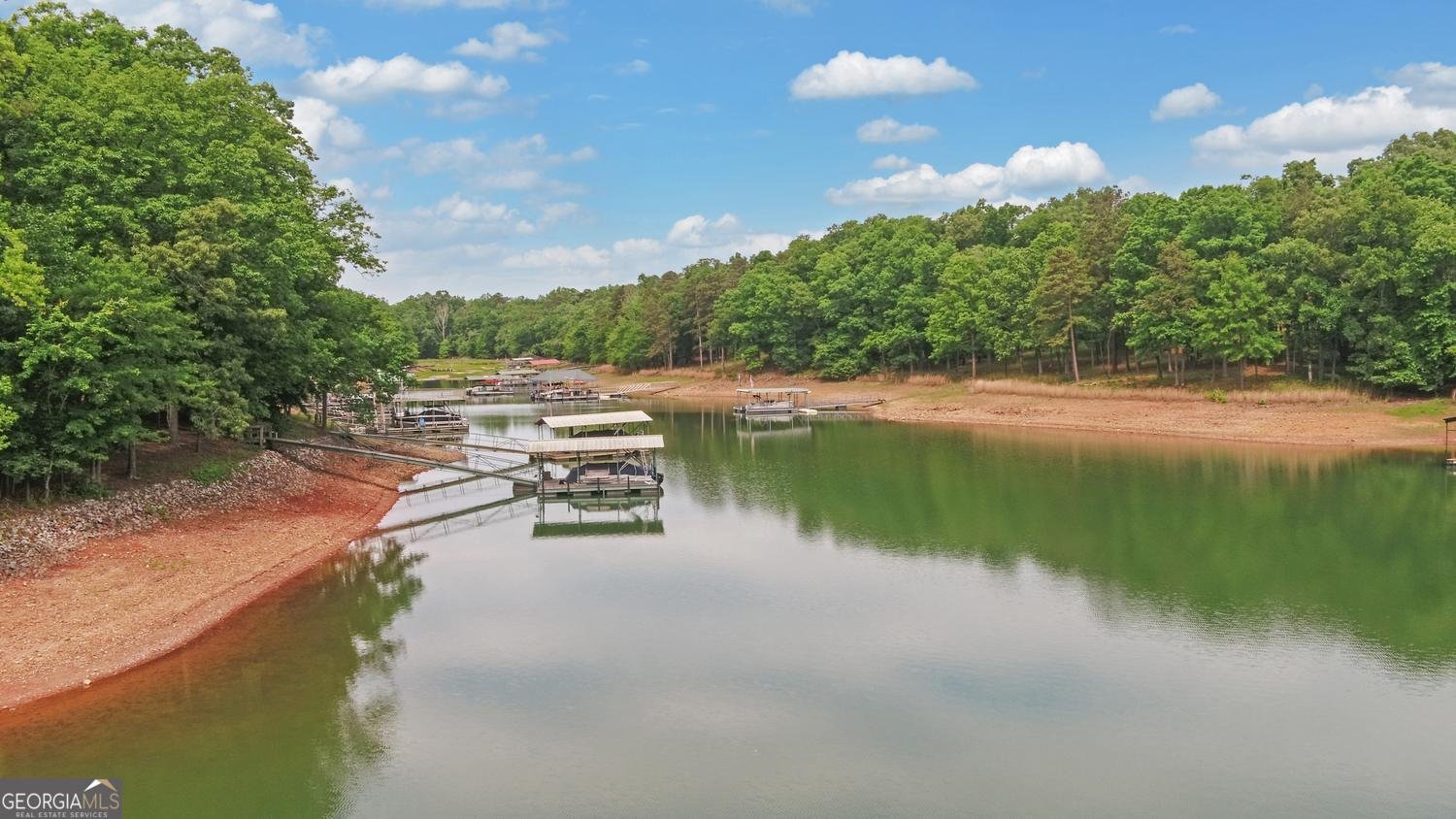 157 Nelle Drive Hartwell - Photo 62