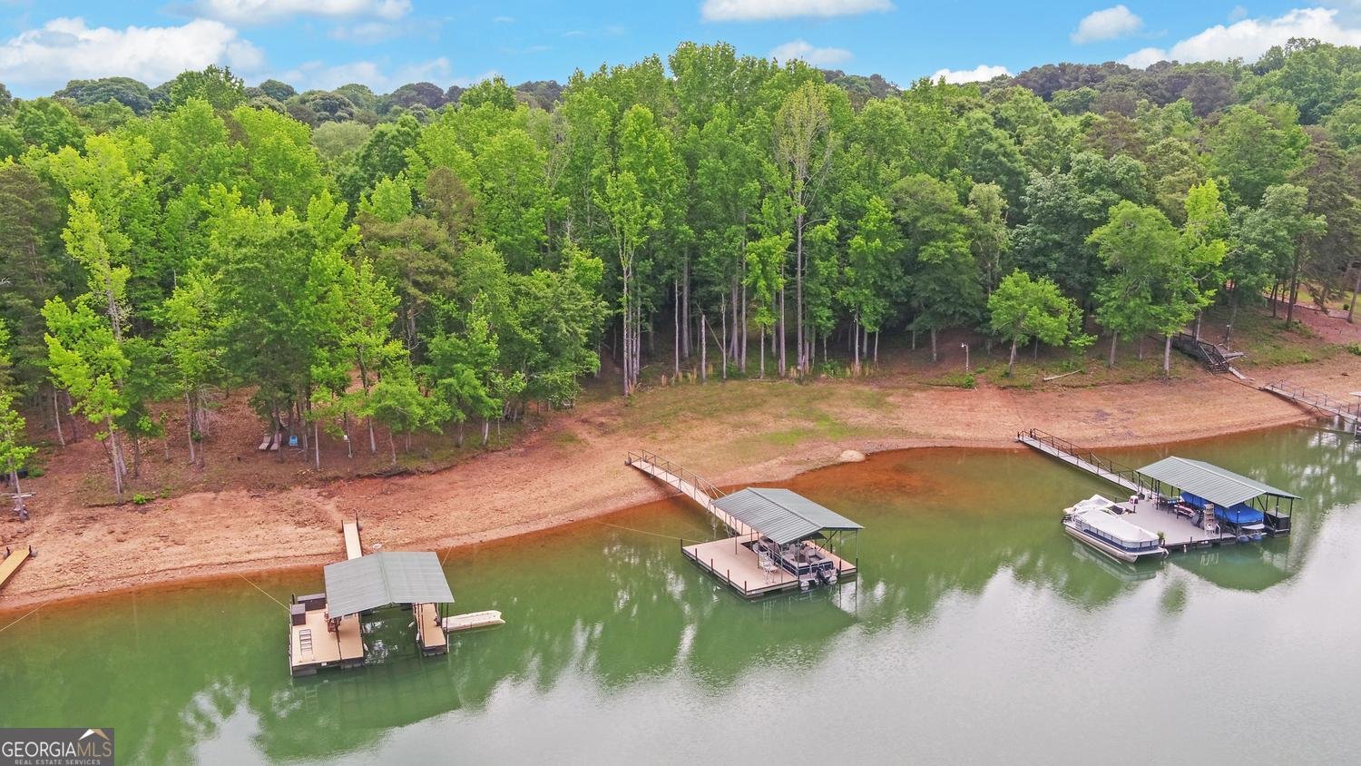 157 Nelle Drive Hartwell - Photo 69