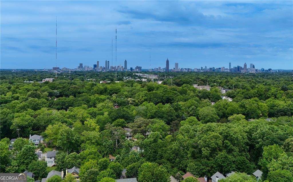 213 Murray Hill Avenue Atlanta - Photo 58