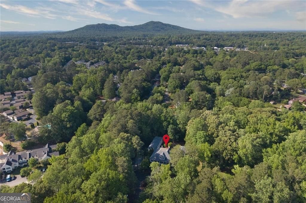 710 Walnut Drive Marietta - Photo 53