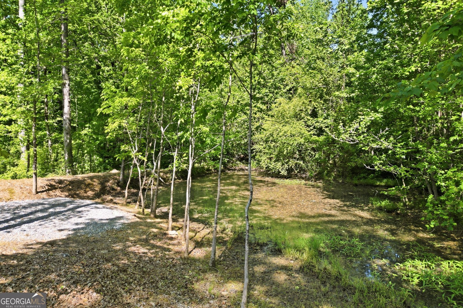 7710 Fireside Farm Drive Dawsonville - Photo 42