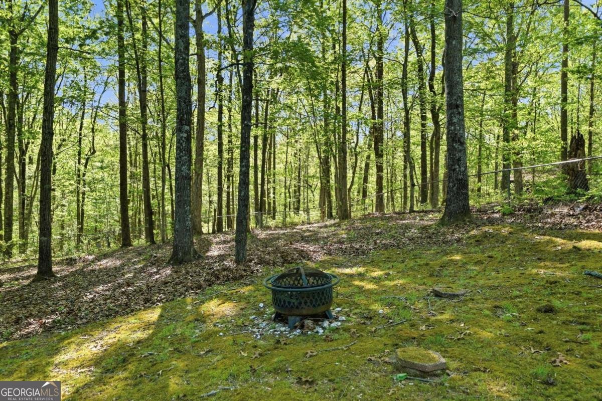 4422 Fincher Road Canton - Photo 41