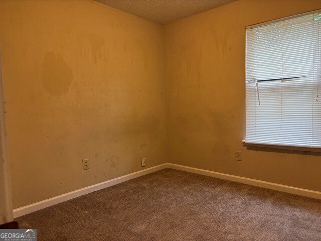 4482 Sunflower Drive Douglasville - Photo 13